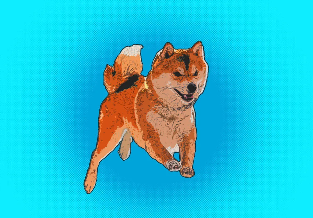 普普風柴犬作品，飛躍的橘色柴犬搭配亮藍色網點背景