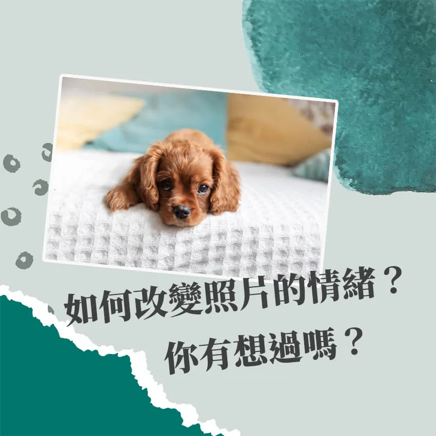 調色、構圖改變照片氛圍的三個要素